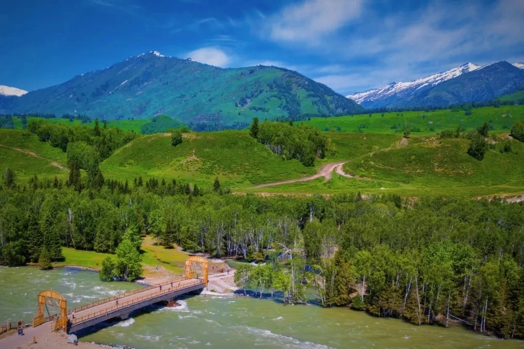 mmexport1751602757054